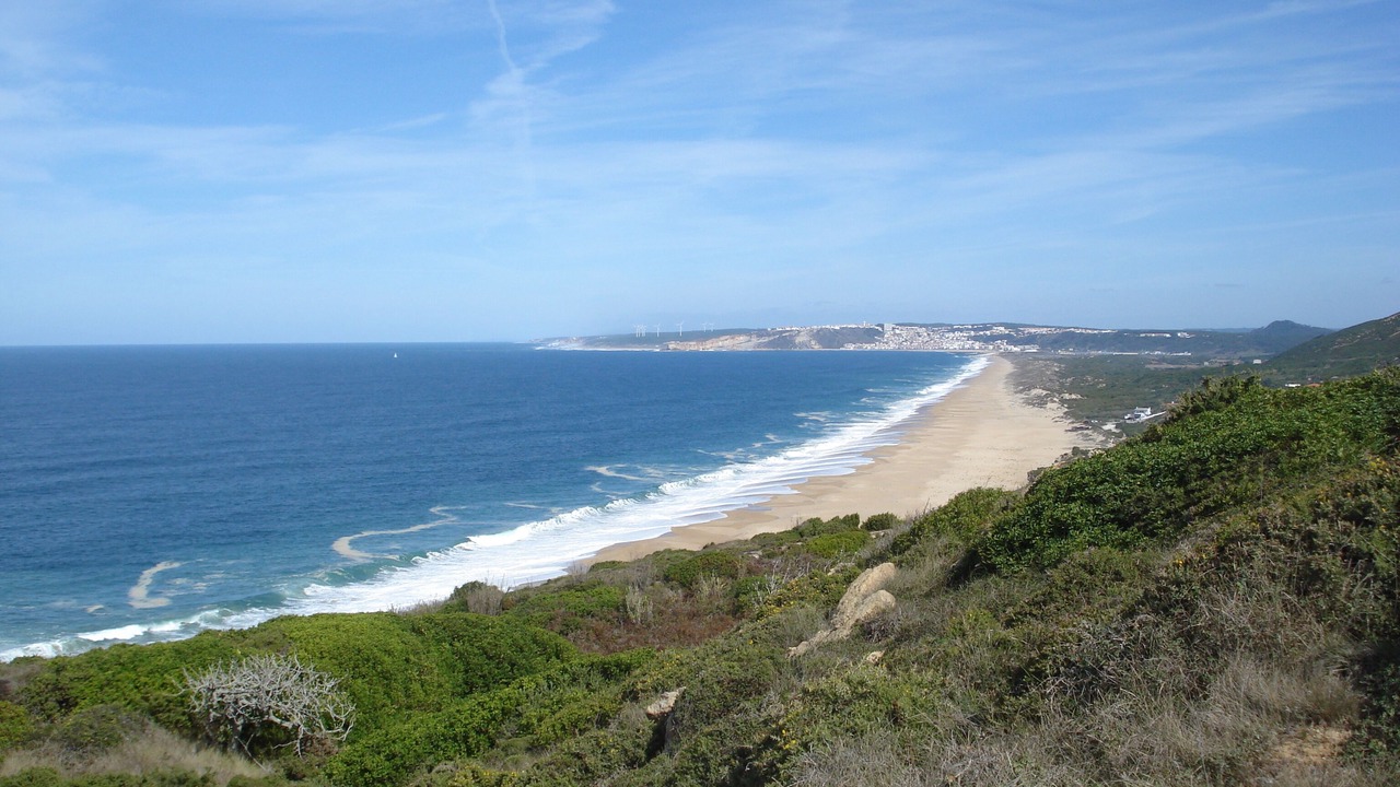 Photo of Others in Sao Martinho do Porto