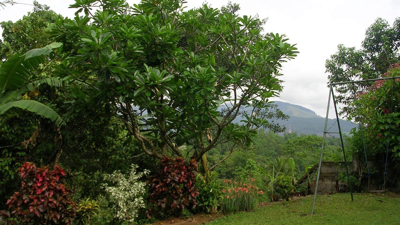 Photo of Outdoor in Yatinuwara