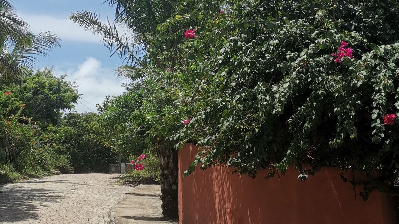 Photo of Outdoor in Pipa