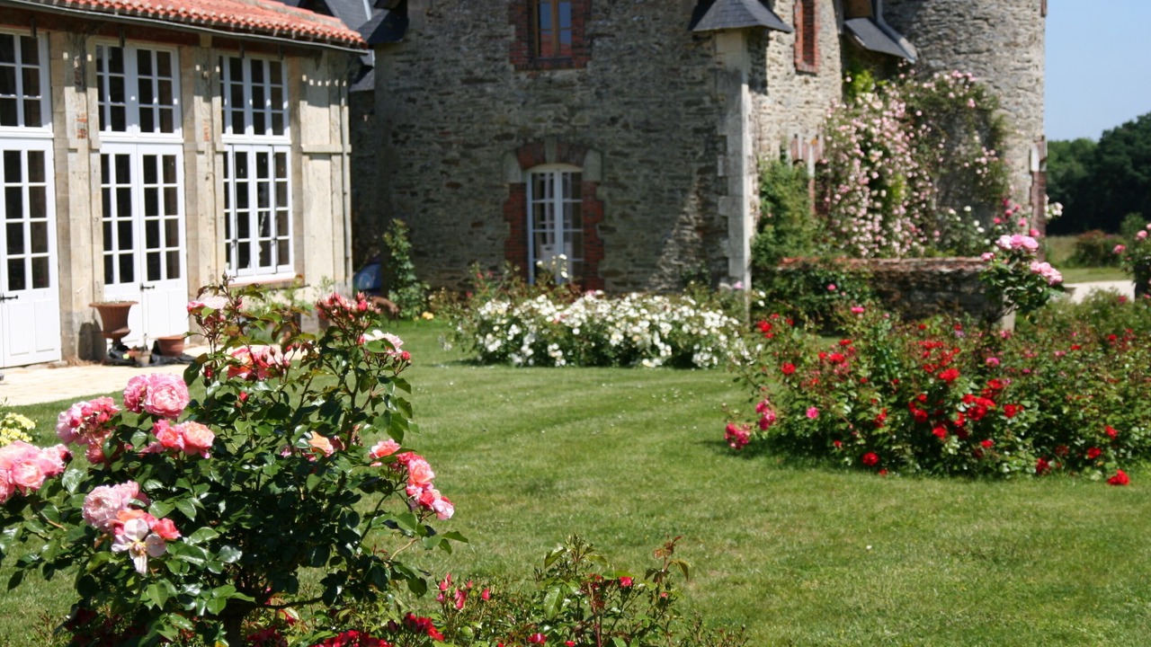 Photo of Outdoor in Mouchamps