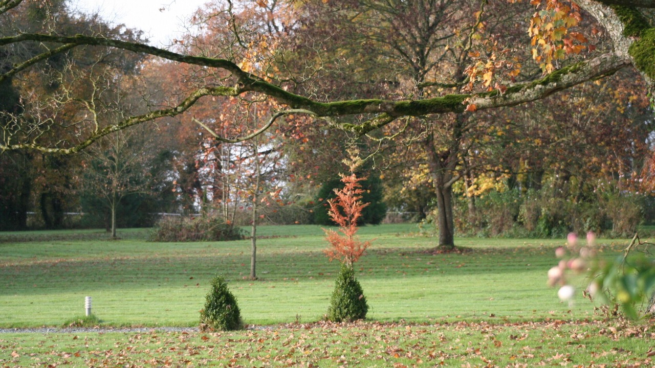 Photo of Outdoor in Mouchamps