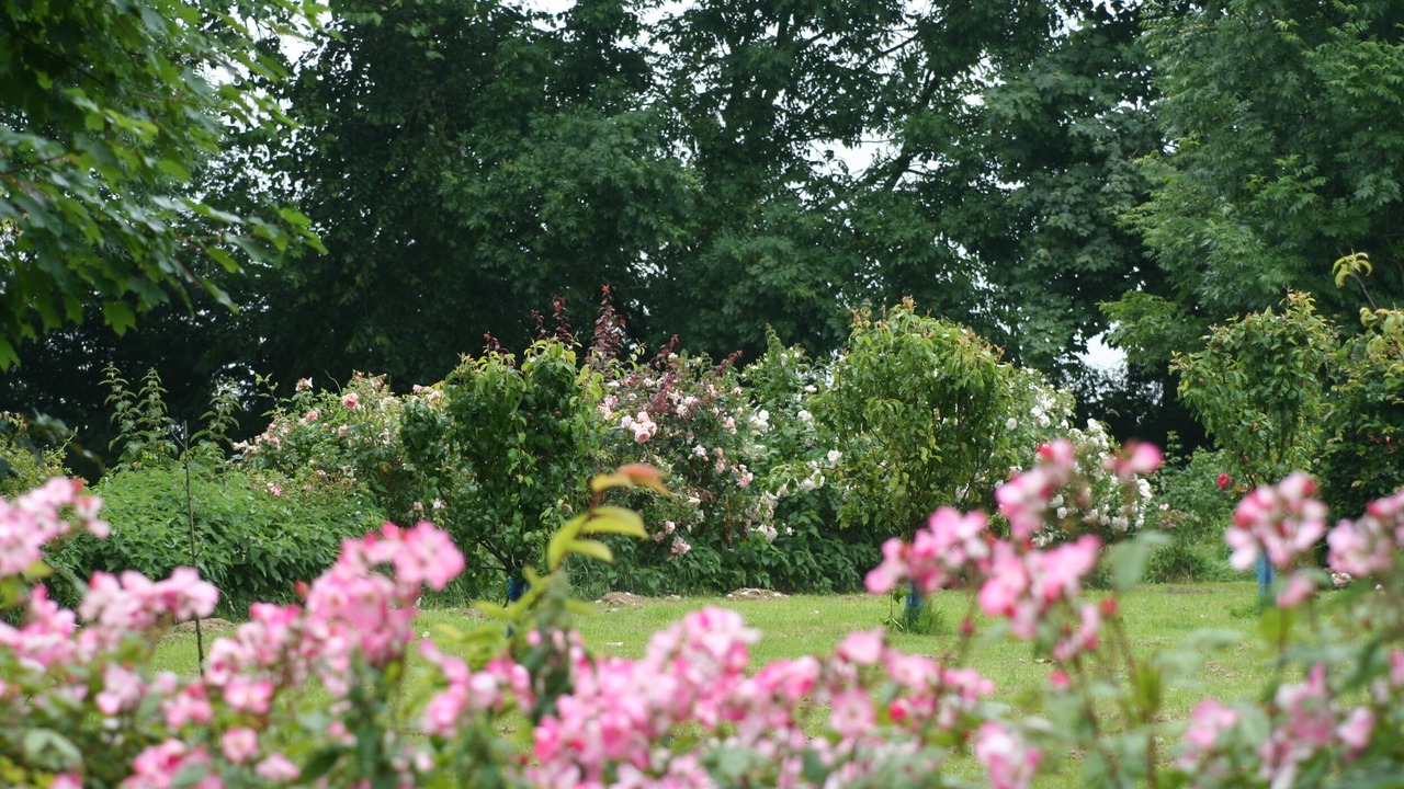 Photo of Outdoor in Mouchamps