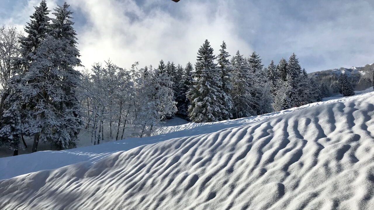 Photo of Others in Les Avanchers-Valmorel