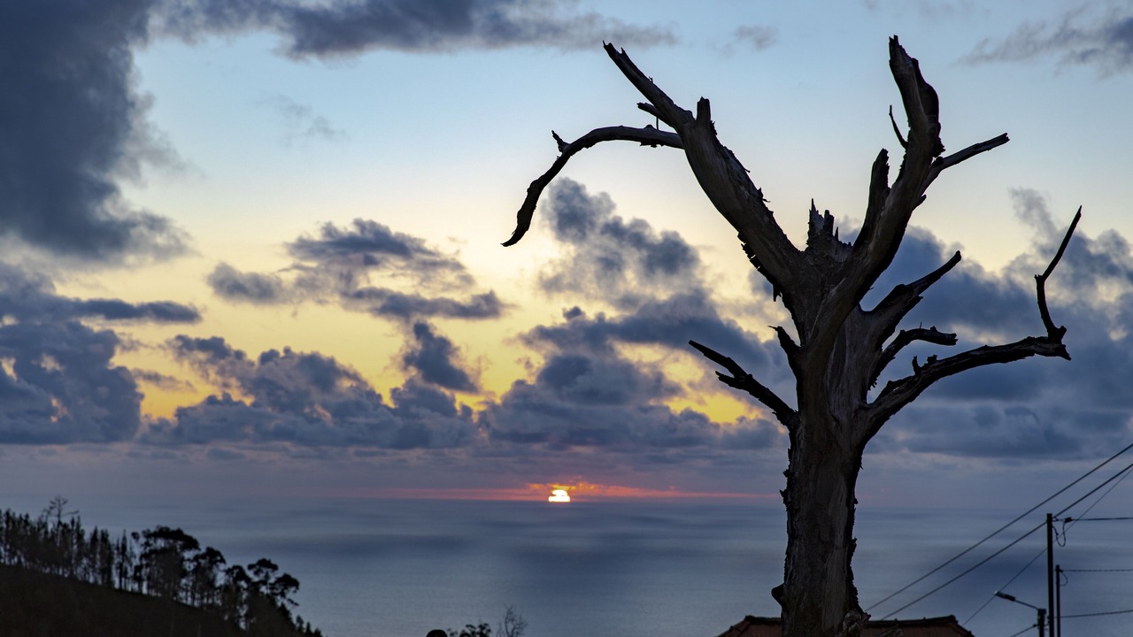 Photo of Others in Ponta do Pargo