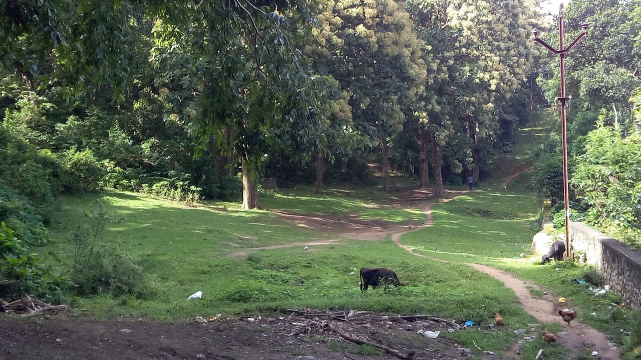 Photo of Outdoor in Kumily