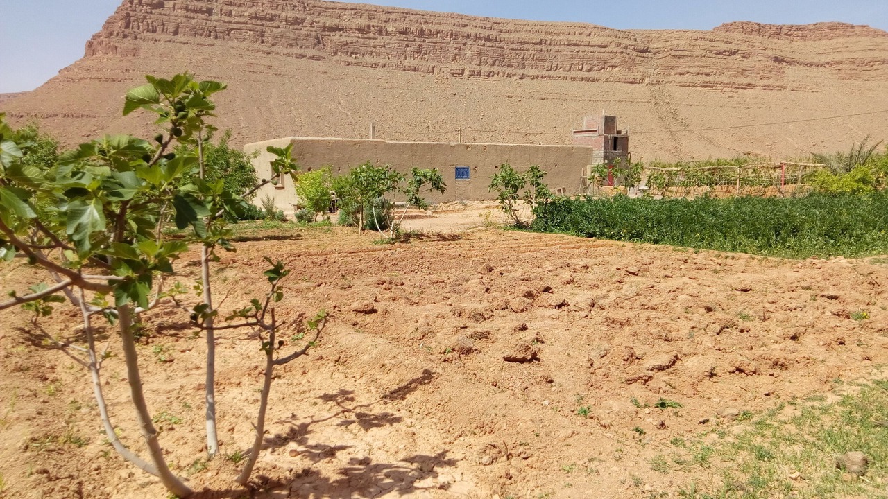 Photo of Outdoor in Lkheng