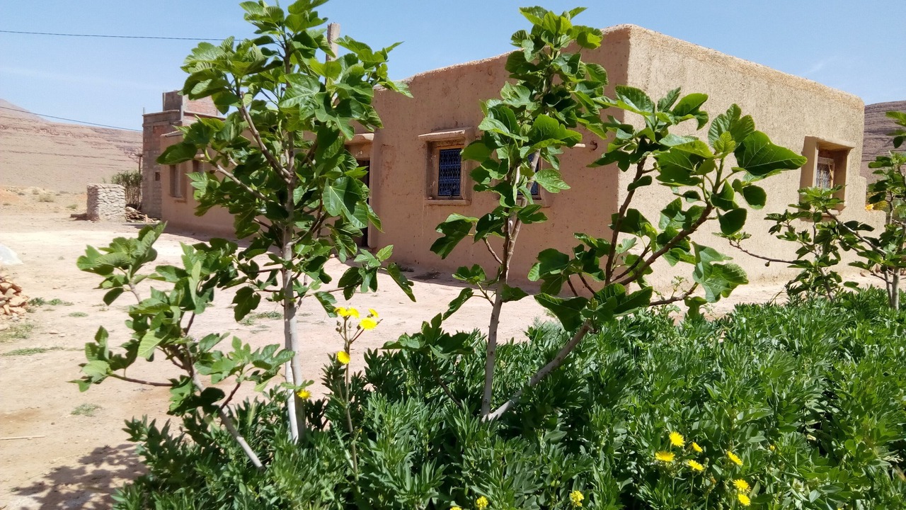 Photo of Outdoor in Lkheng