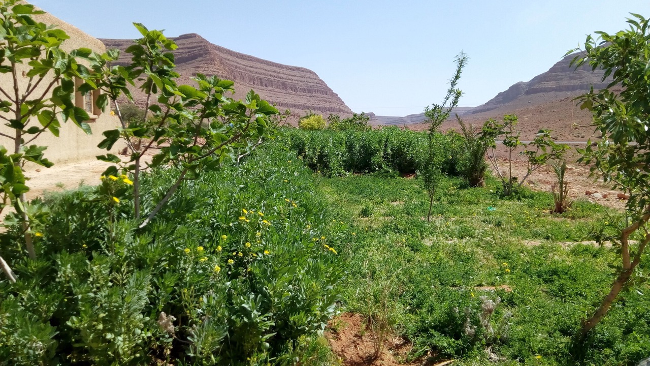Photo of Outdoor in Lkheng