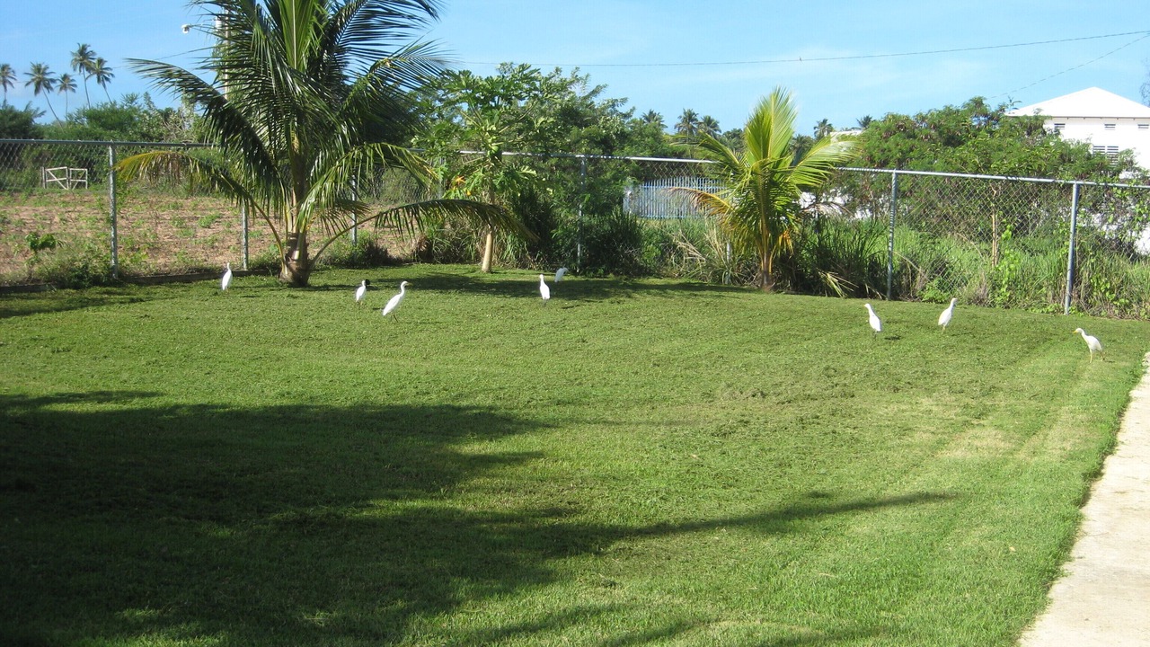 Photo of Others in Jobos