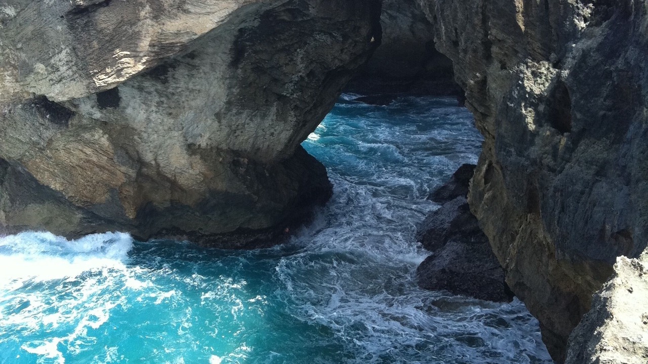 Photo of Others in Jobos