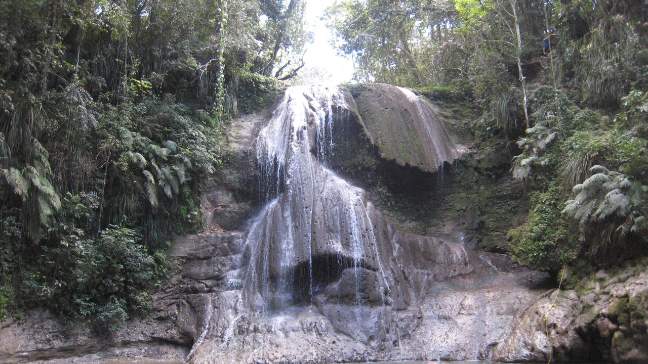 Photo of Others in Jobos
