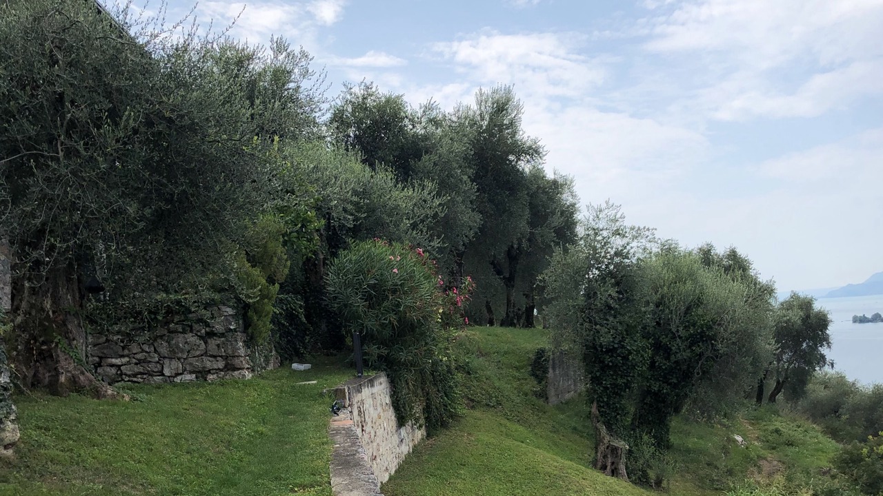 Photo of Outdoor in Malcesine