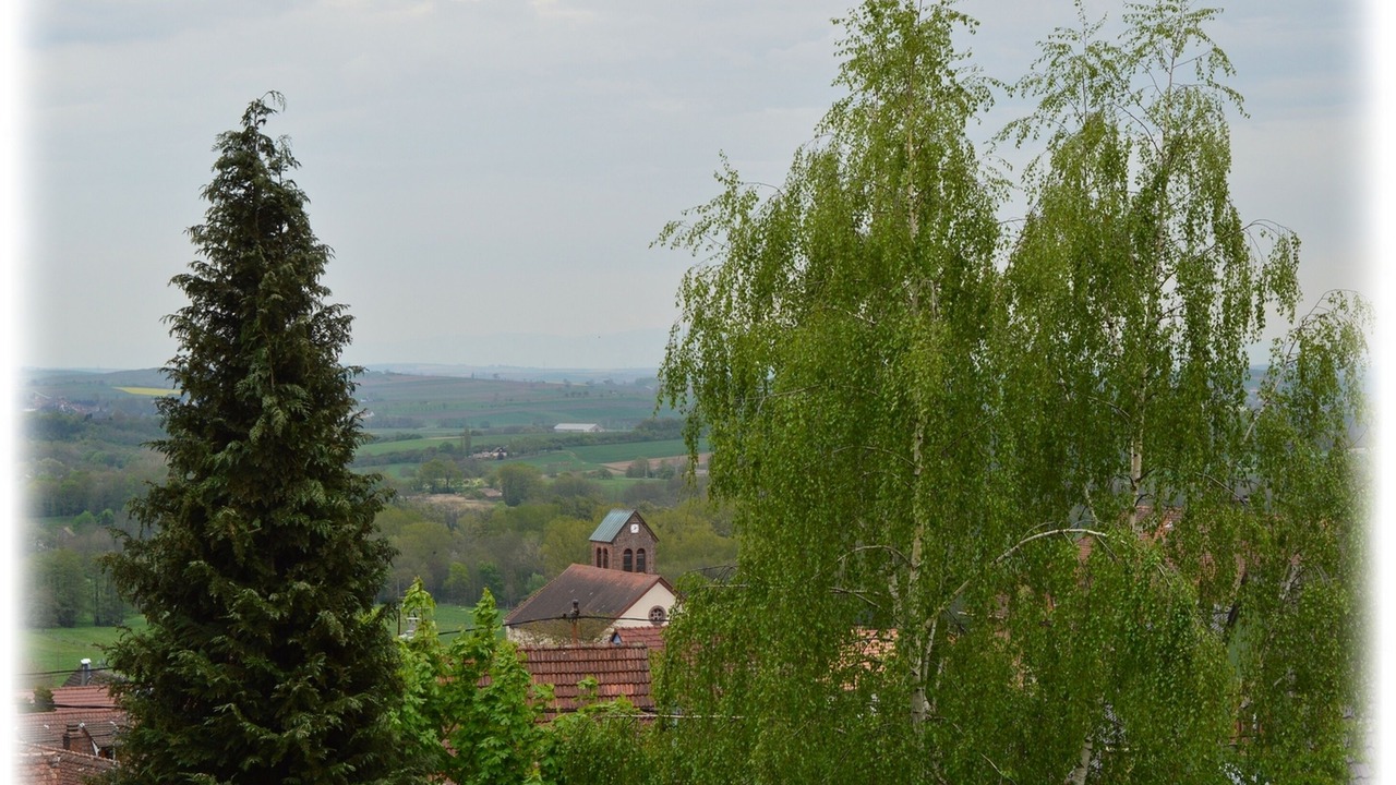 Photo of Outdoor in Haegen