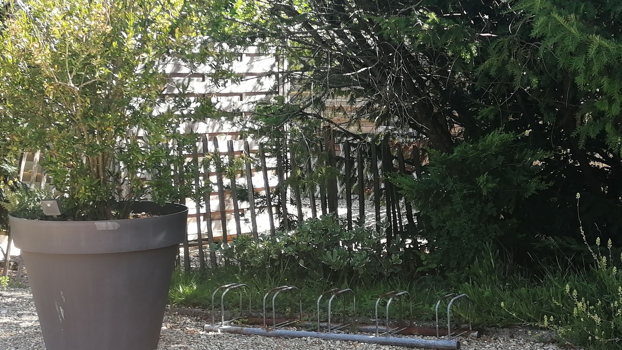 Photo of Outdoor in Vaux-sur-Mer