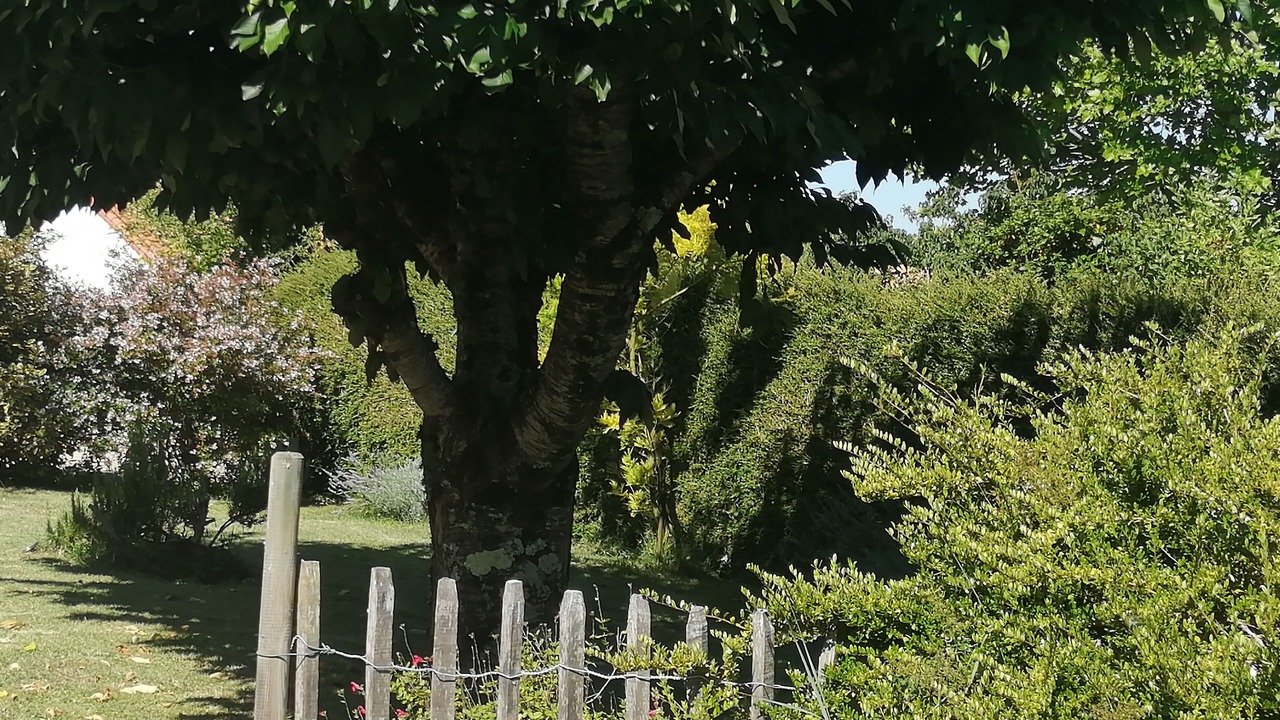 Photo of Outdoor in Vaux-sur-Mer