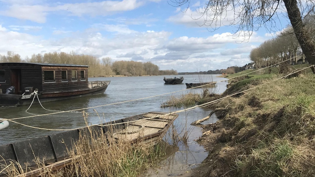 Photo of Others in Saint-Dye-sur-Loire