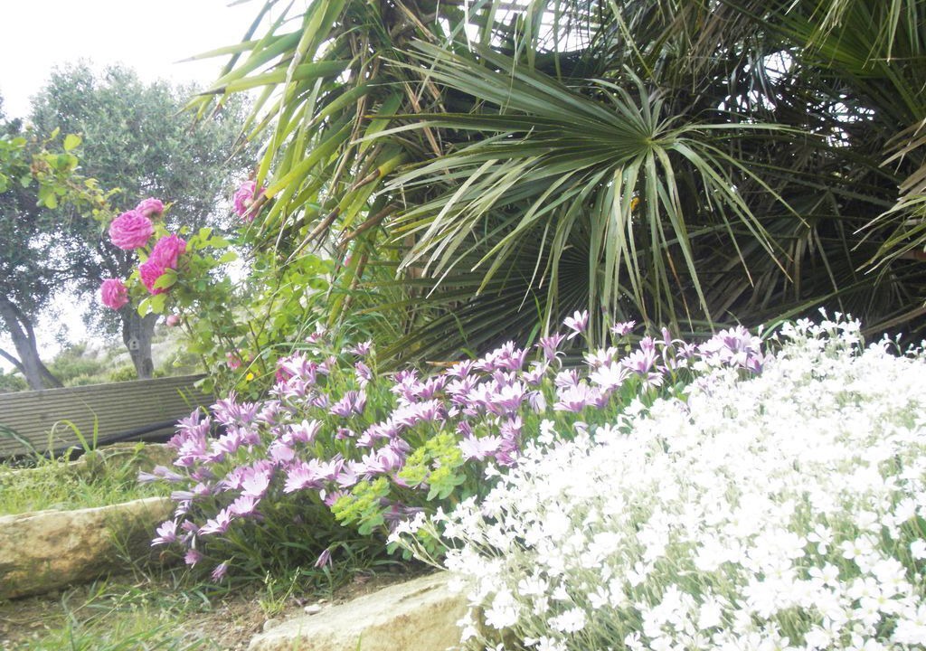 Photo of Outdoor in Portel-des-Corbieres