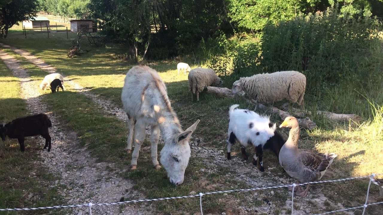 Photo of Outdoor in Grane