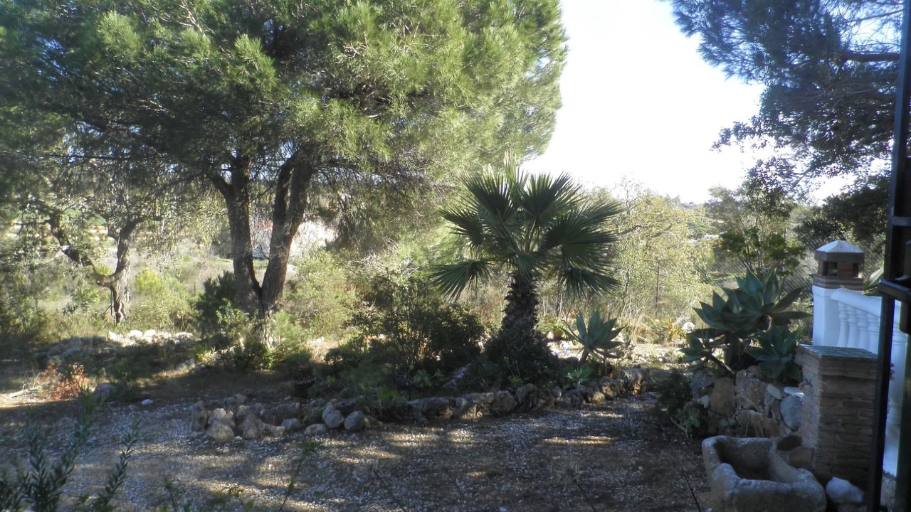 Photo of Outdoor in Porches