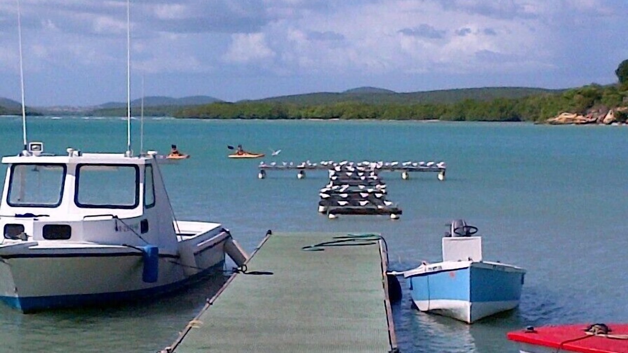 Photo of Others in Montalva