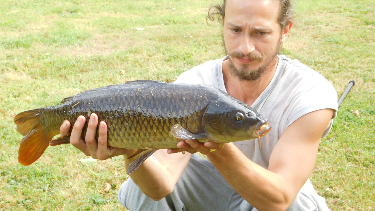 Photo of Others in Campeaux