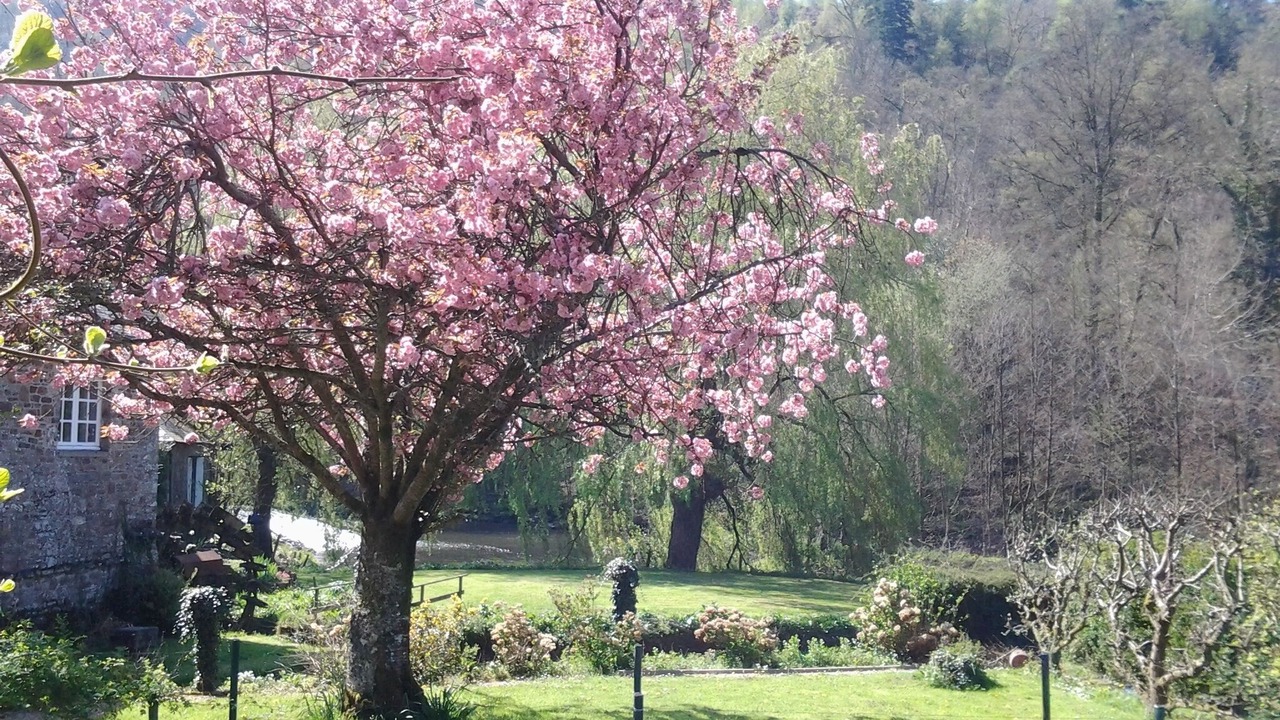 Photo of Outdoor in Campeaux
