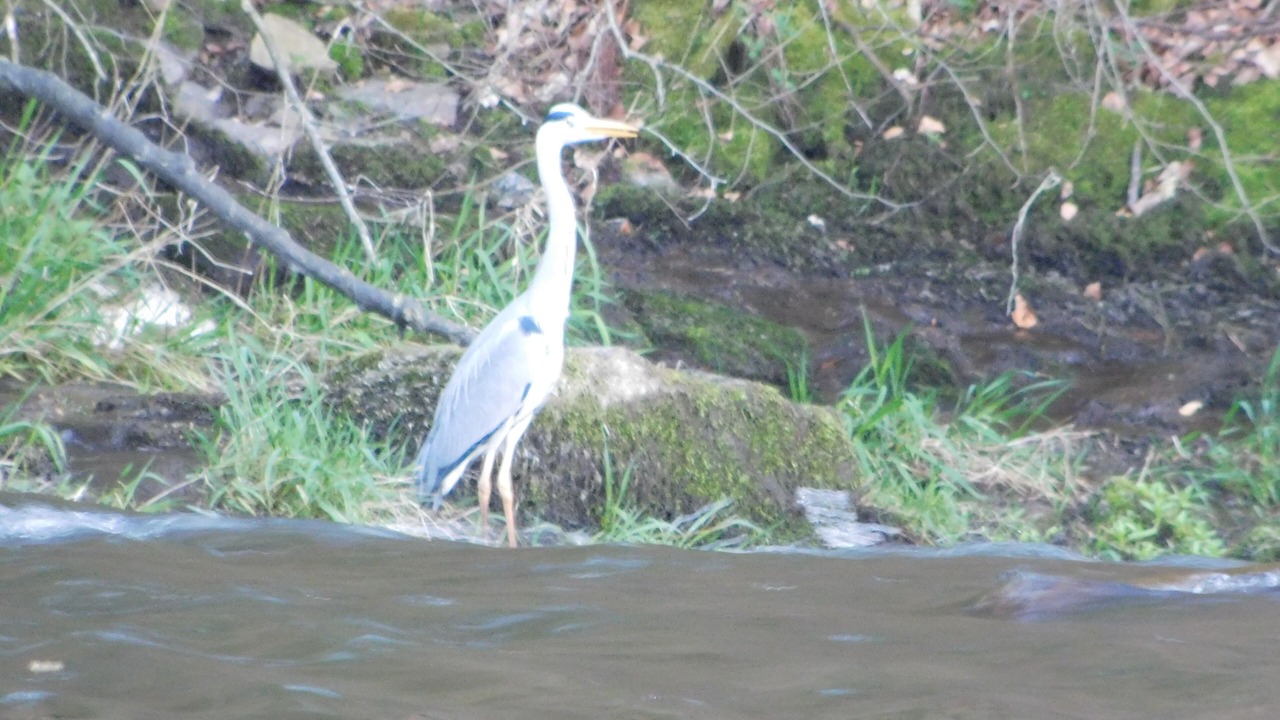 Photo of Outdoor in Campeaux