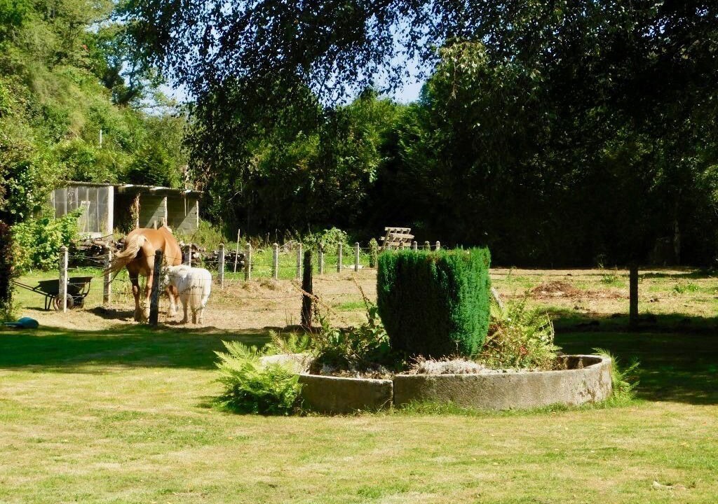 Photo of Outdoor in Campeaux