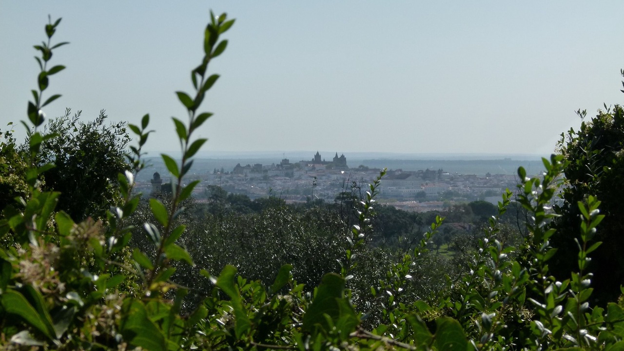 Photo of Others in Evora