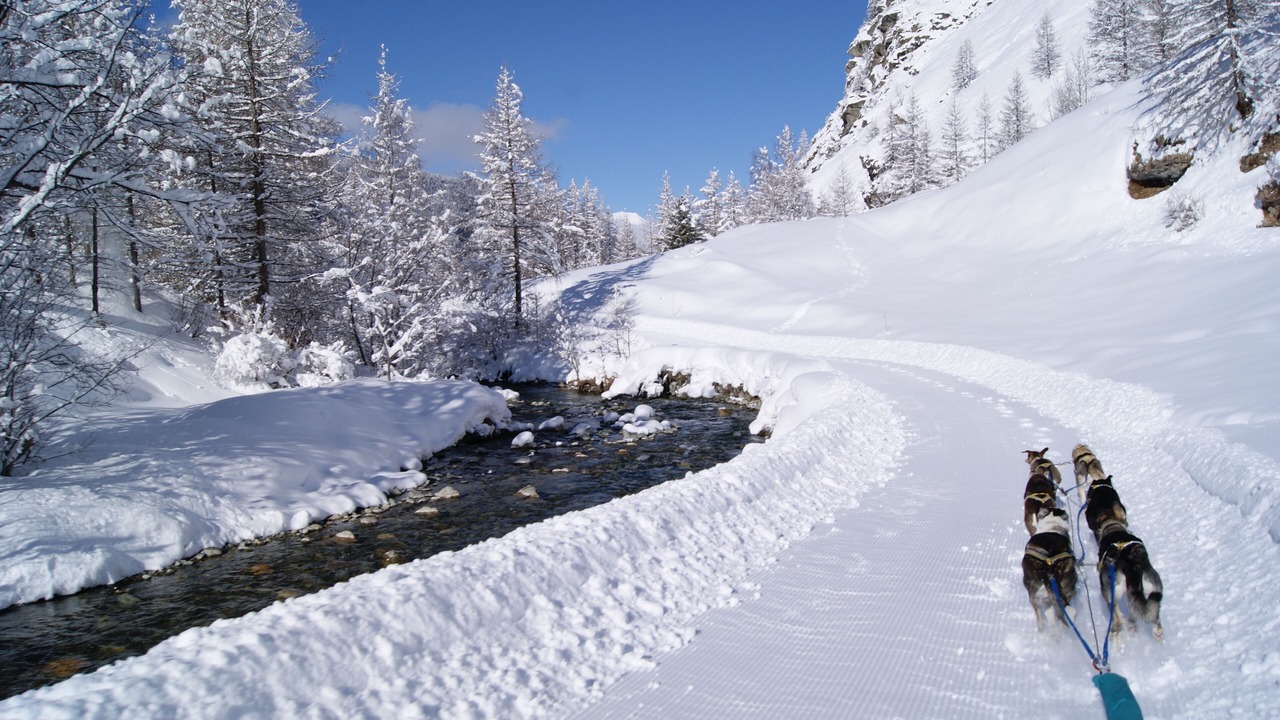 Photo of Others in Vallandry