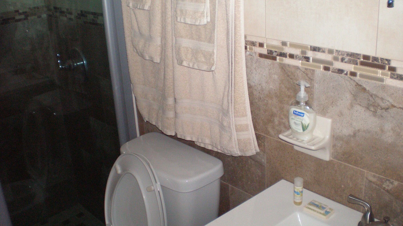 Photo of Bathroom in Maleza Baja