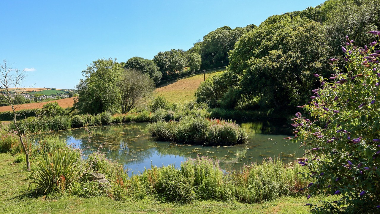 Photo of Outdoor in Chillington