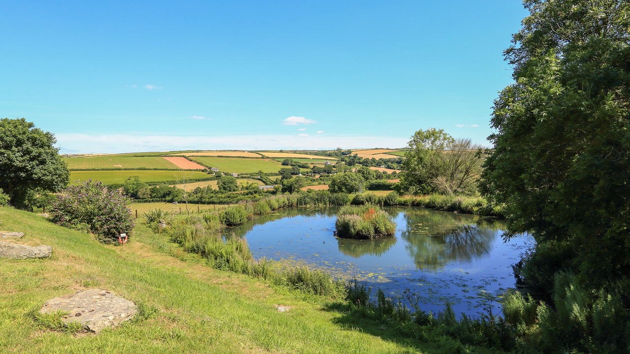 Photo of Outdoor in Chillington