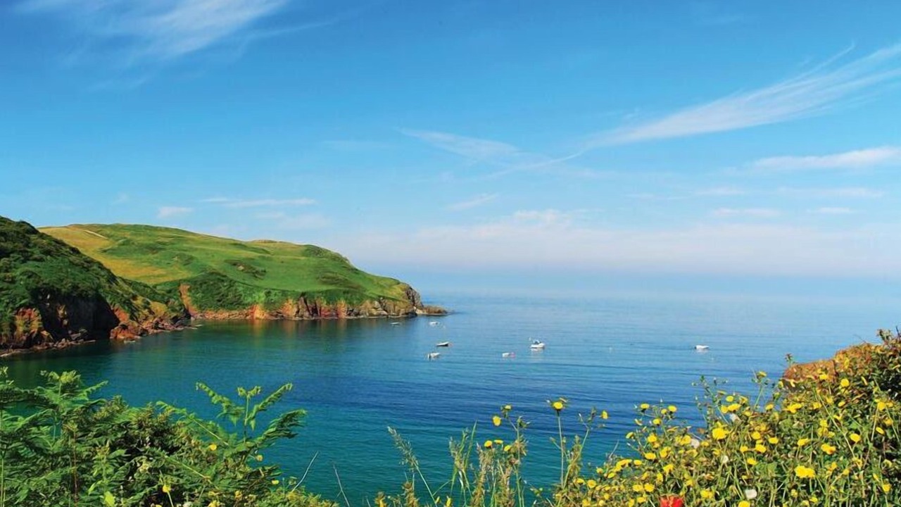 Photo of Others in Hope-Cove