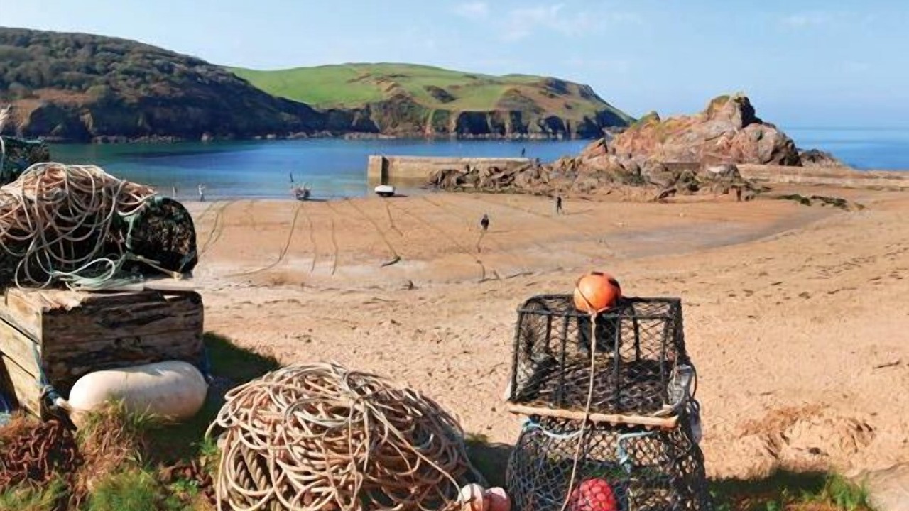 Photo of Others in Hope-Cove