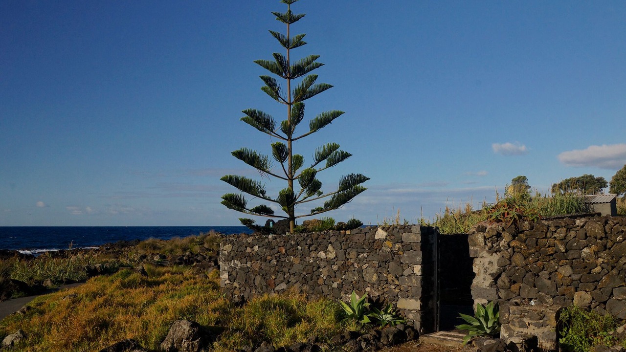 Photo of Outdoor in Lagoa