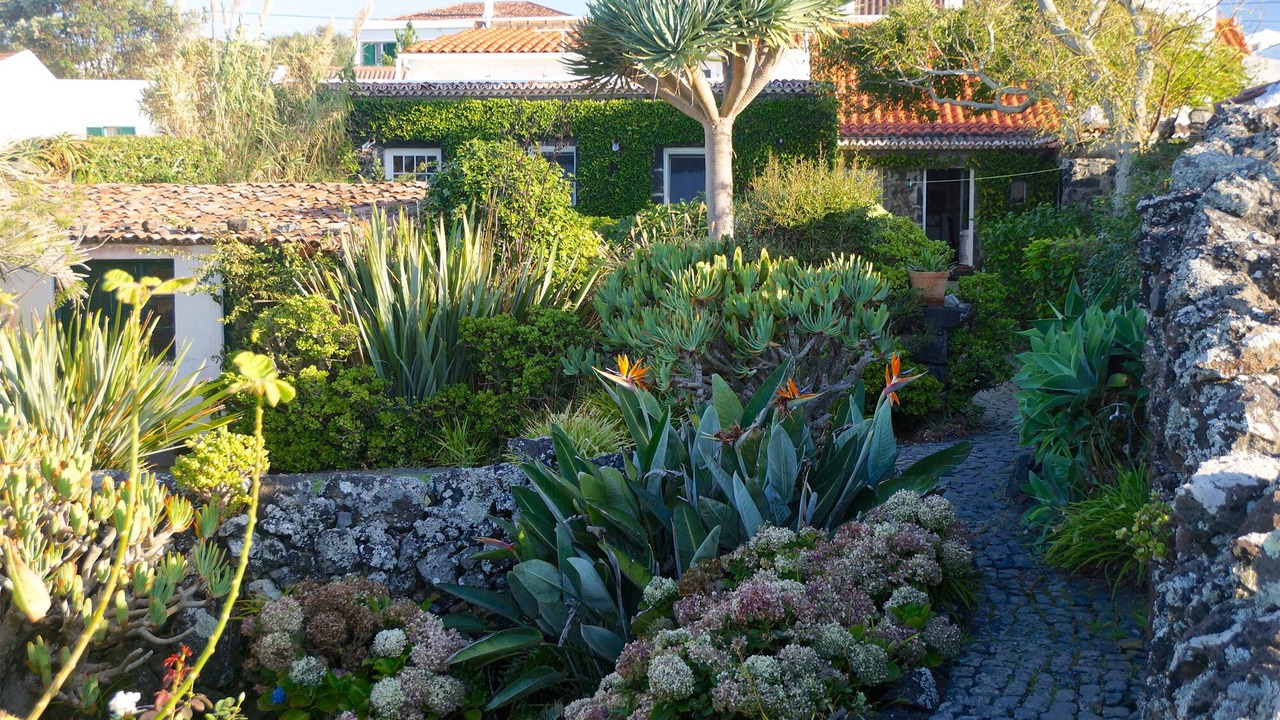 Photo of Outdoor in Lagoa