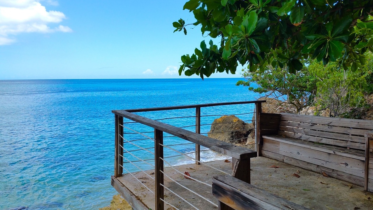 Photo of Others in Borinquen