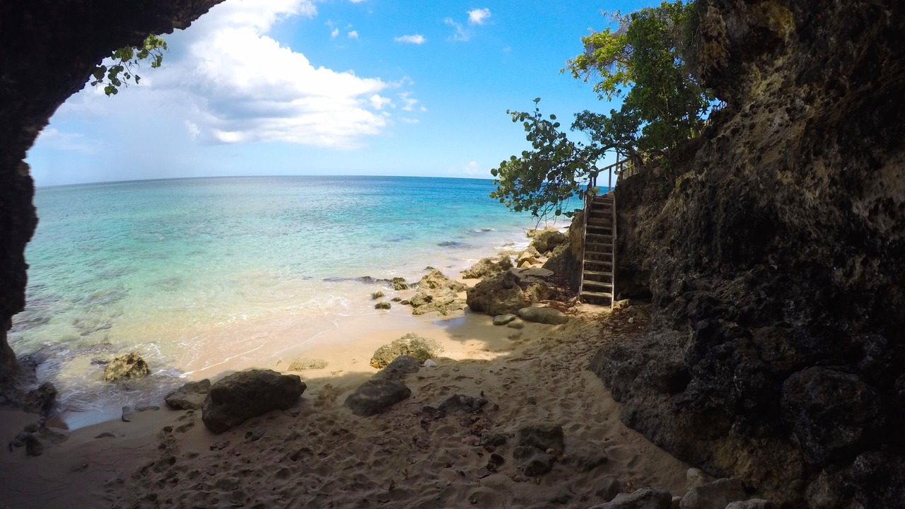 Photo of Others in Borinquen