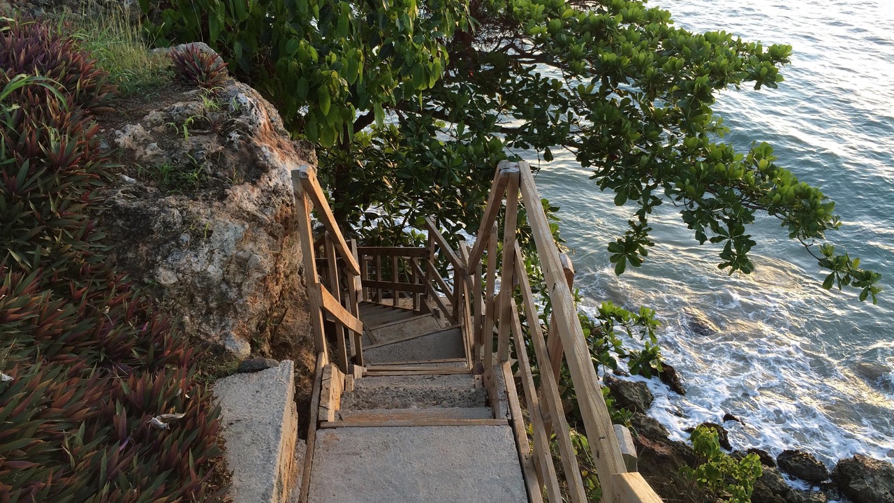 Photo of Others in Borinquen