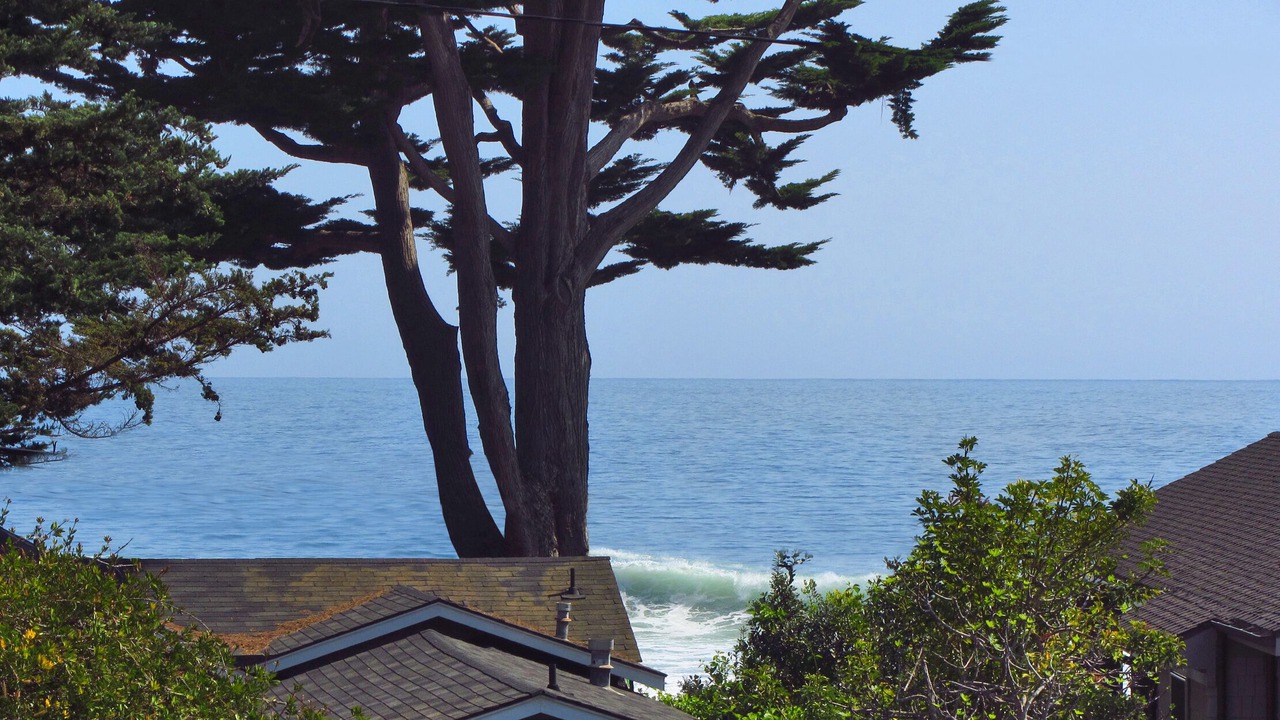 Photo of Others in Carpinteria