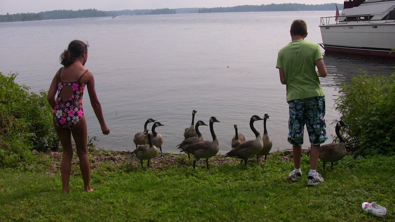 Photo of Others in Leeds and the Thousand Islands