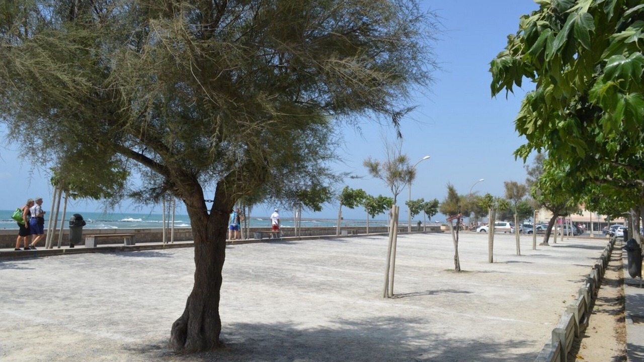 Photo of Others in Le Grau-dʼAgde