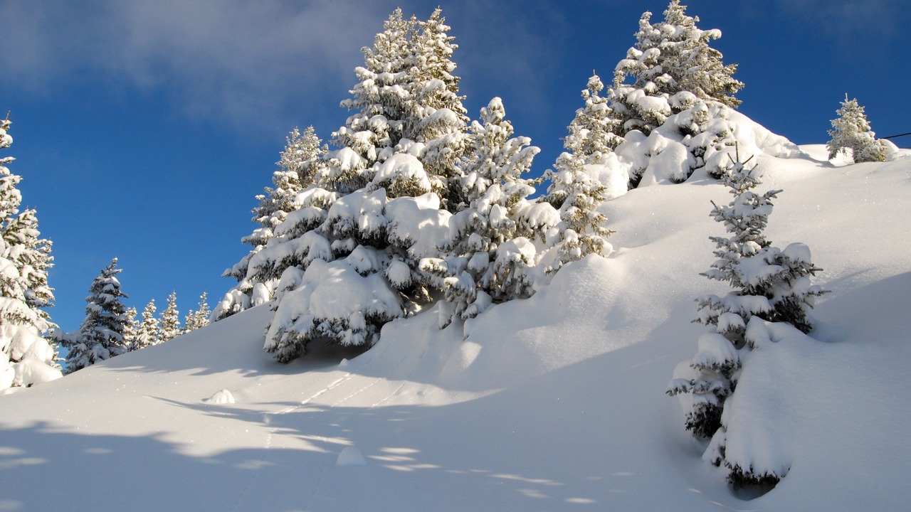 Photo of Others in Pralognan-la-Vanoise