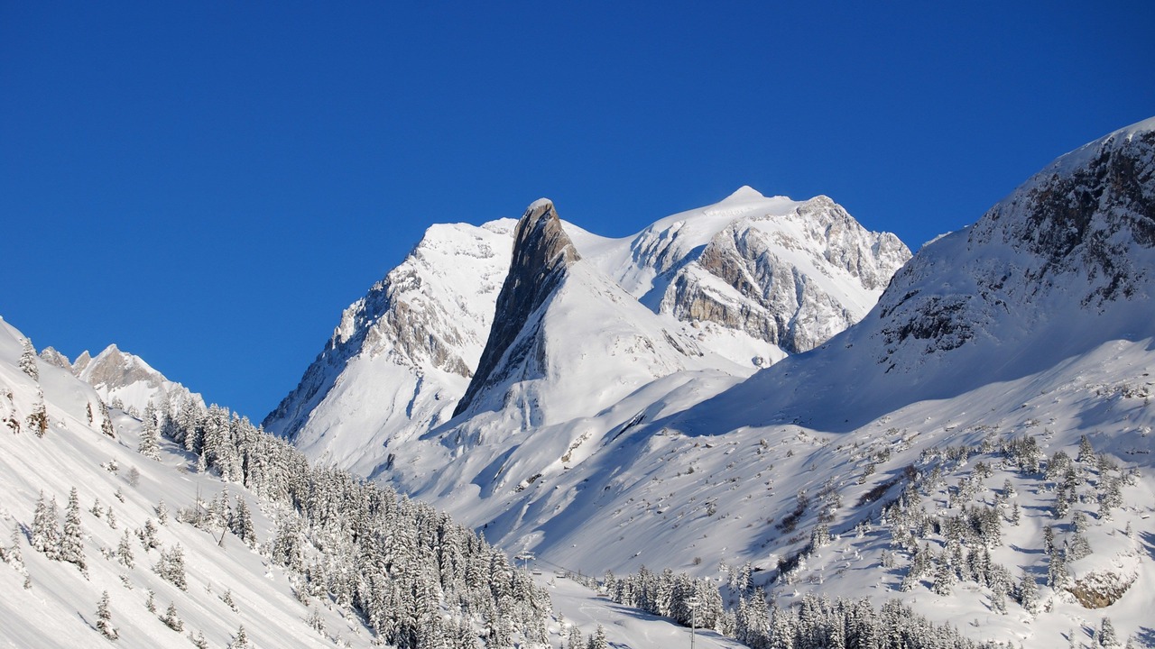 Photo of Others in Pralognan-la-Vanoise