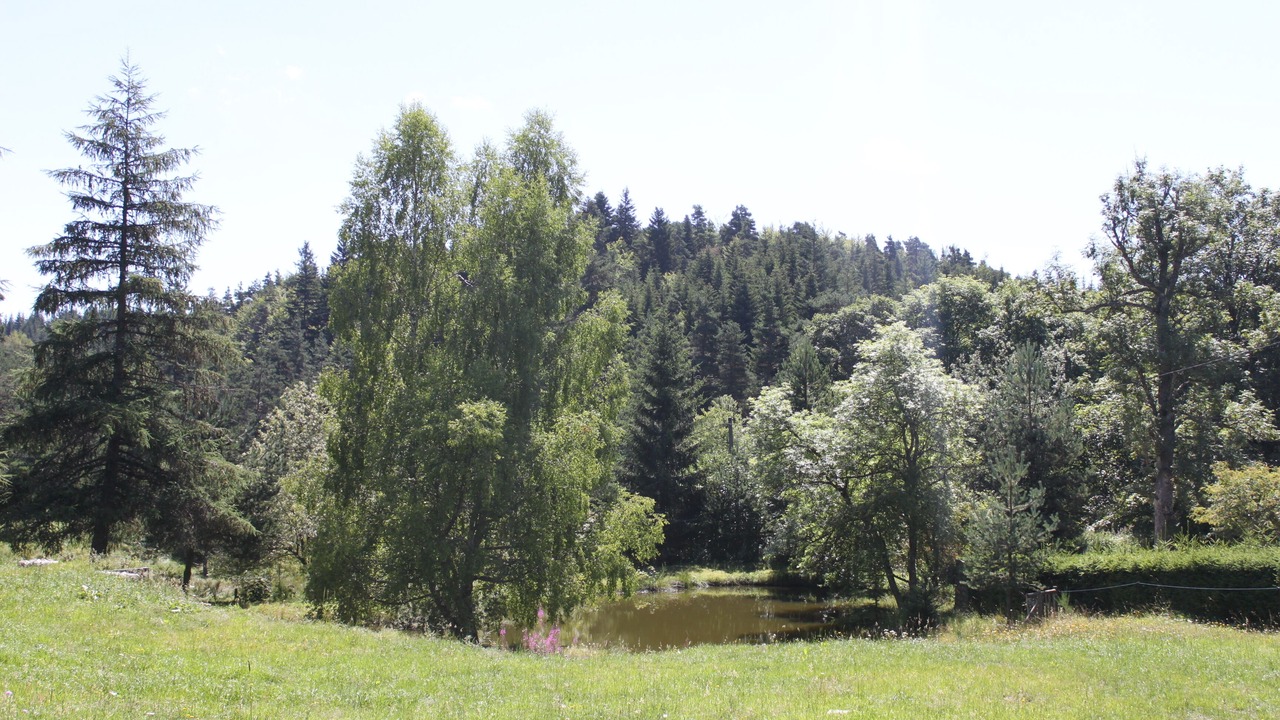 Photo of Others in Le Chambon-sur-Lignon