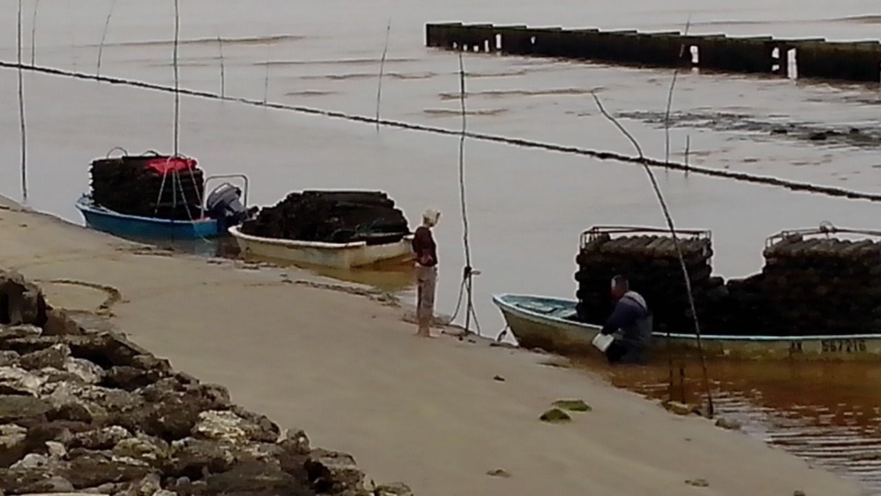 Photo of Others in Saint-Vivien-de-Medoc