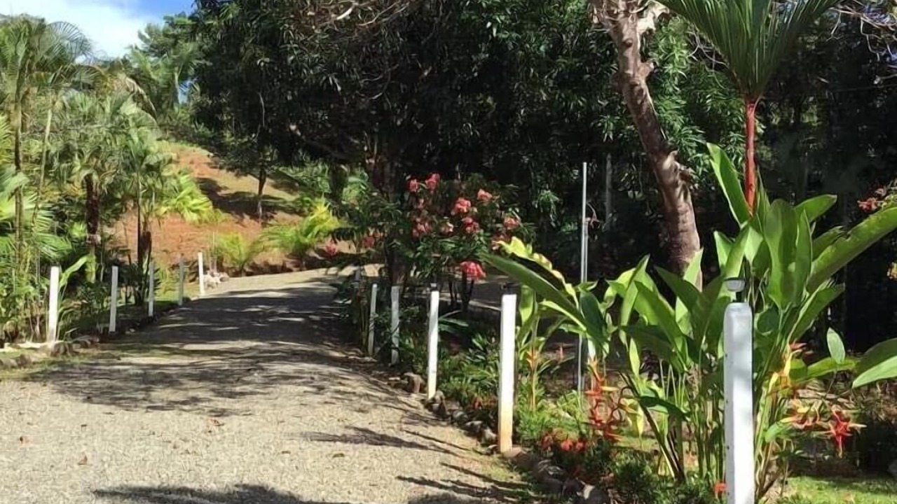 Photo of Outdoor in Savegre