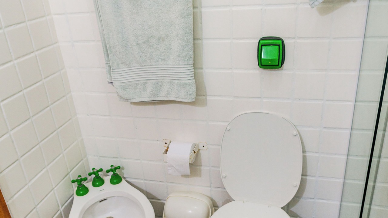 Photo of Bathroom in Toque Toque