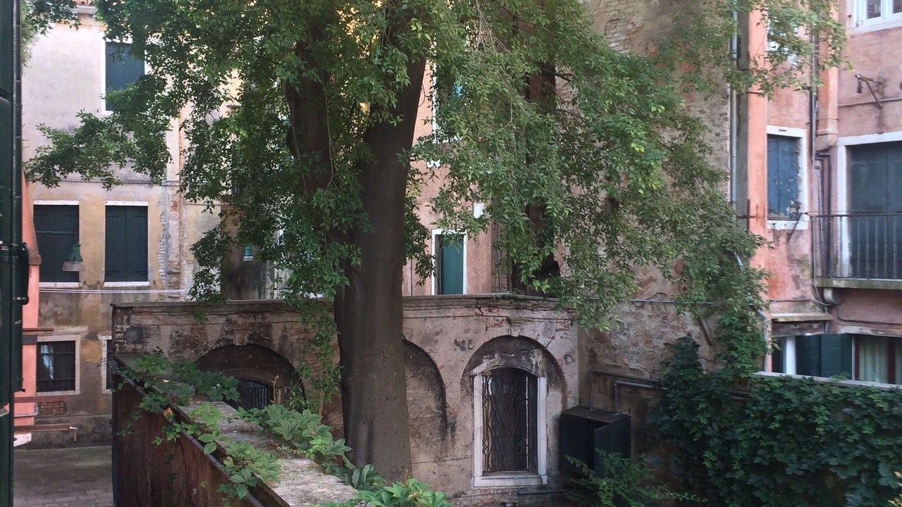 Photo of Outdoor in Castello